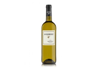 Vin blanc - AOP Irouléguy...